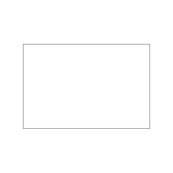 Bsc Preferred 3 x 6'' White Inventory Rectangle Labels BUY00025572 - main